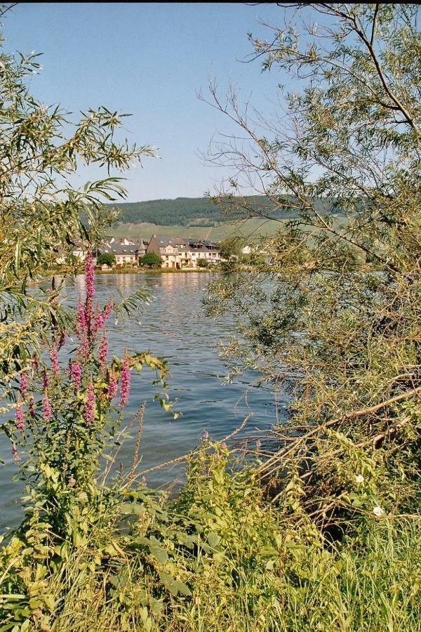 Alt Reinsport Hotel Piesport Exterior foto